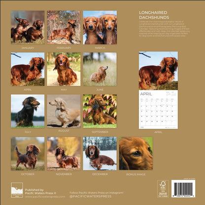 '26 Wall Calendar - Dogs