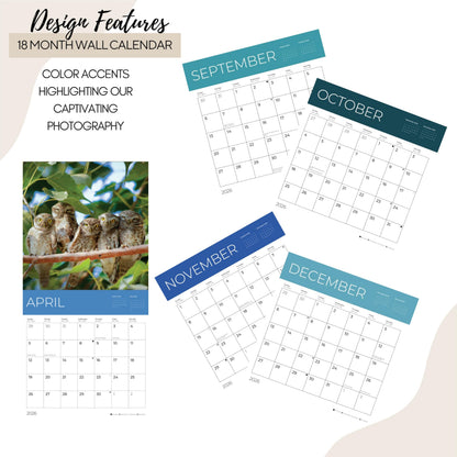 '26 Wall Calendar - Cows, Owls, & Woodland Creatures