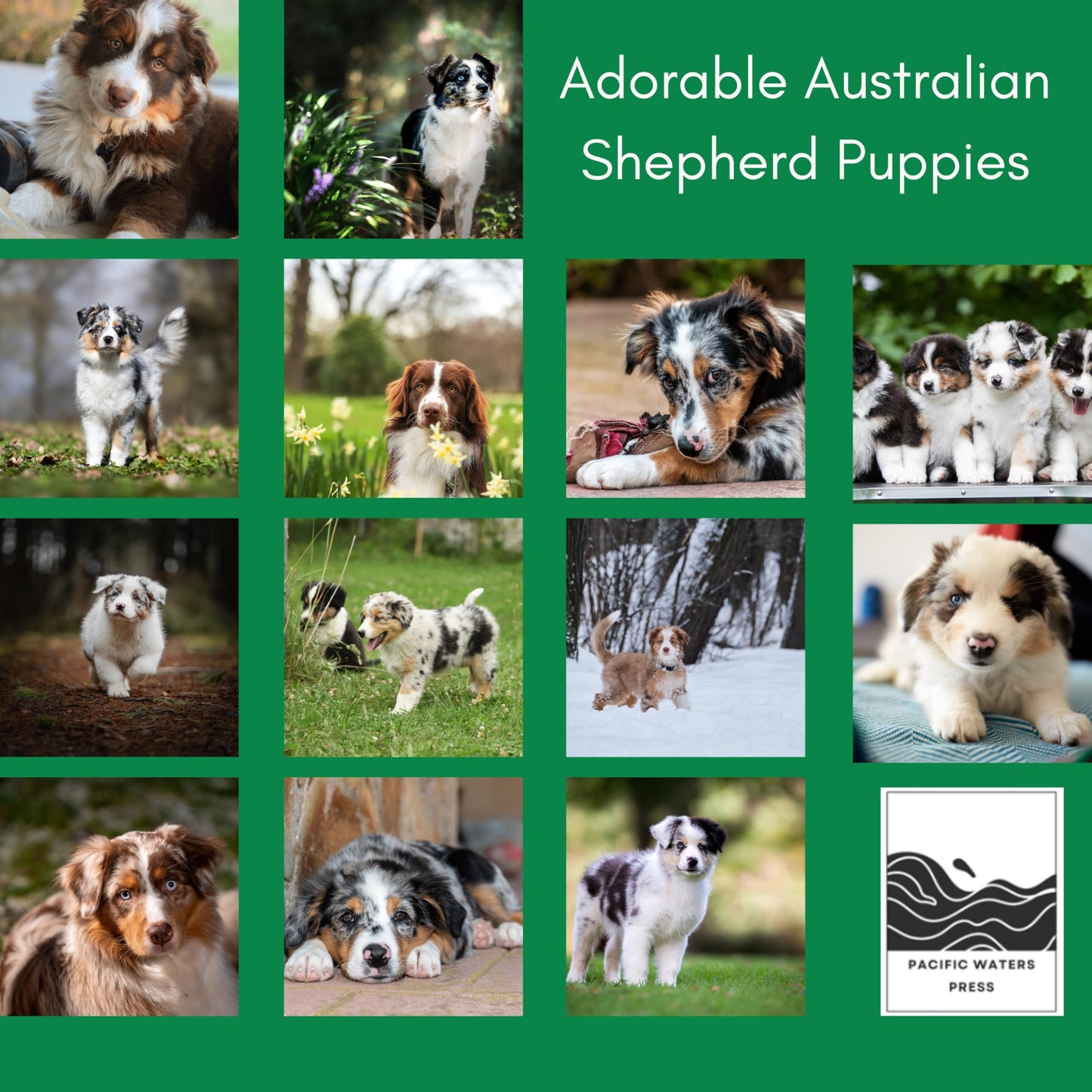 '26 Wall Calendar - Dogs