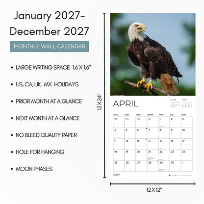 '27 Wall Calendar - Bald Eagles