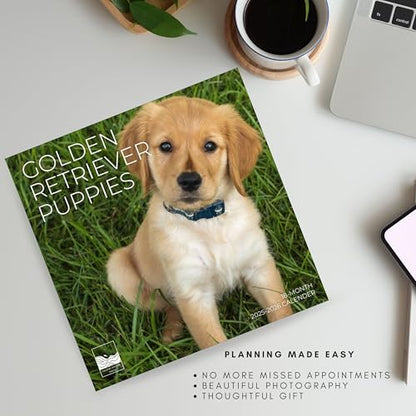 '26 Wall Calendar - Dogs - 18mo