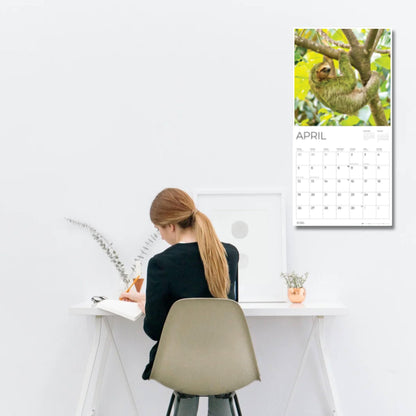'26 Wall Calendar - Baby Animals