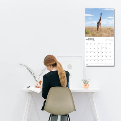 '26 Wall Calendar - Baby Animals