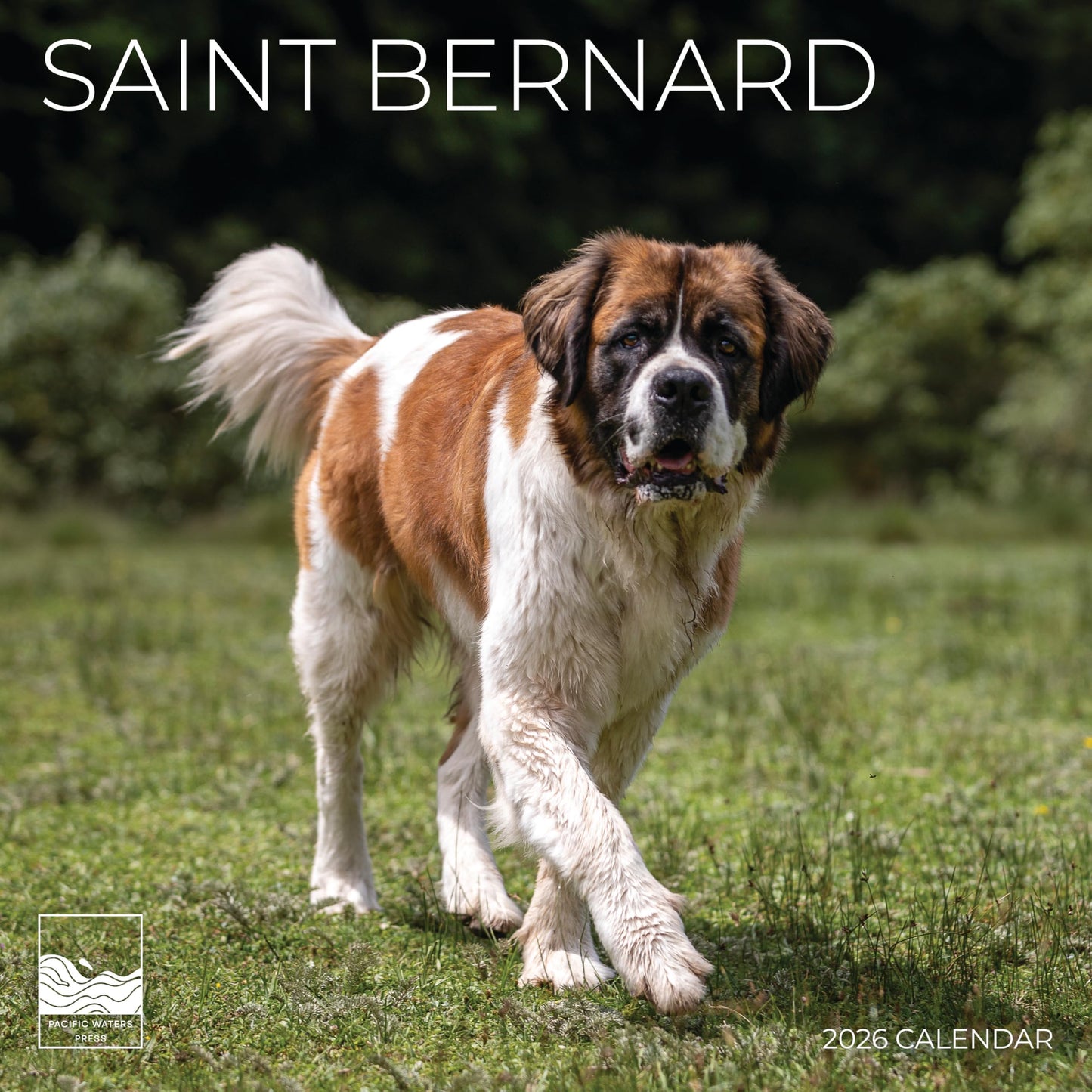 '26 Wall Calendar - Dogs