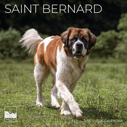 '26 Wall Calendar - Dogs
