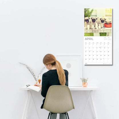 '26 Wall Calendar - Dogs