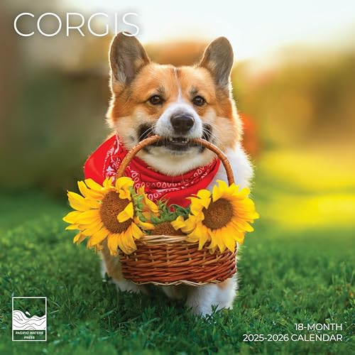 '26 Wall Calendar - Dogs - 18mo