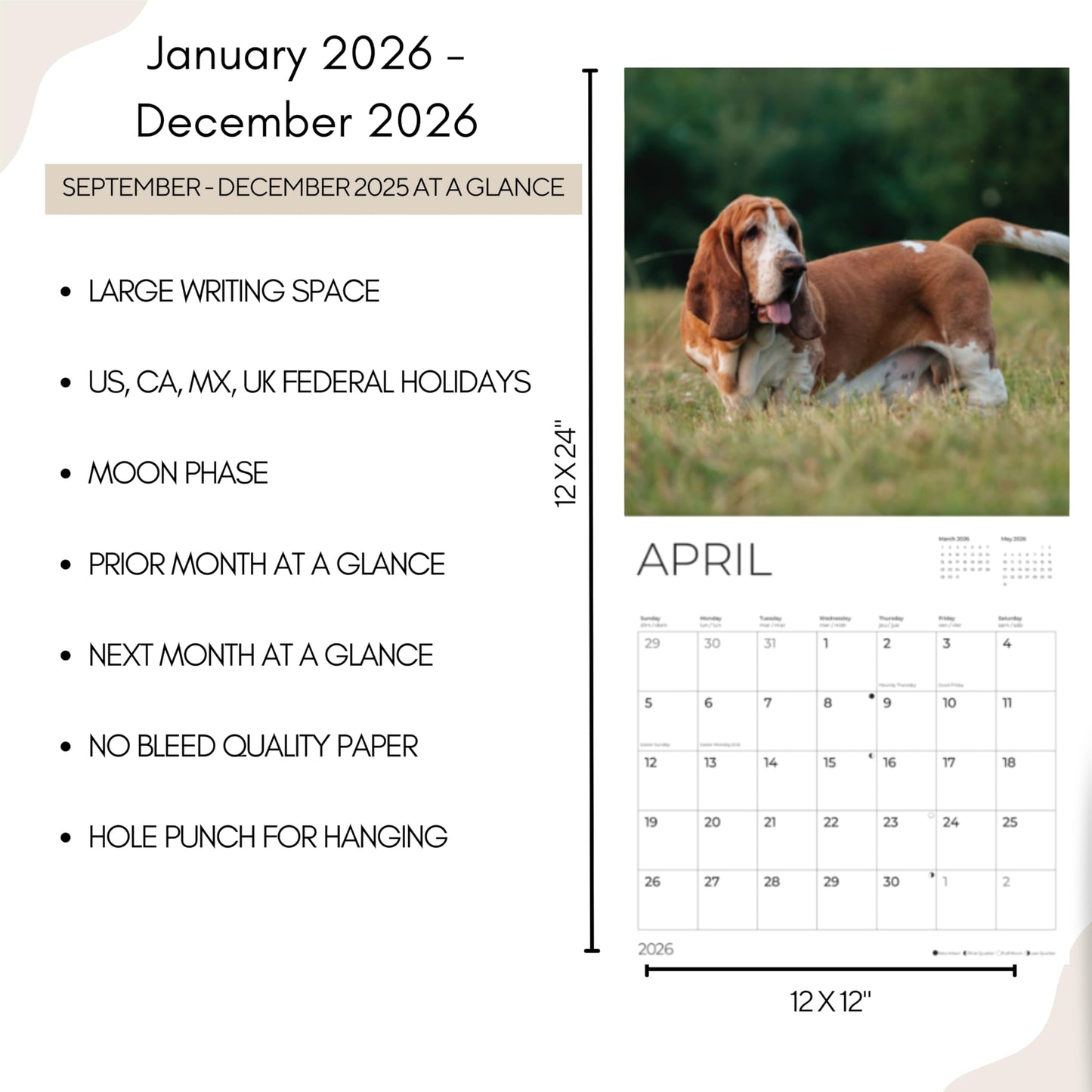 '26 Wall Calendar - Dogs