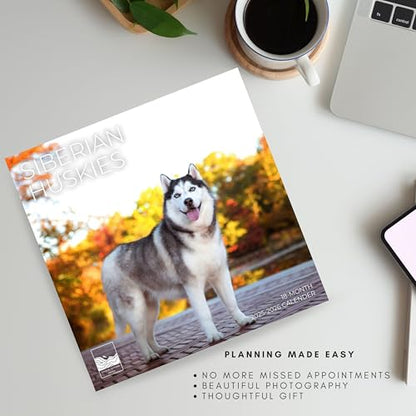 '26 Wall Calendar - Dogs - 18mo