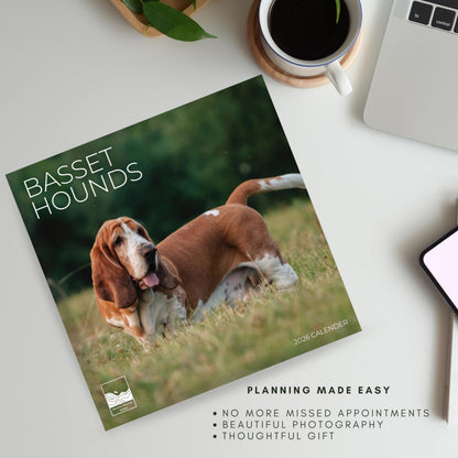 '26 Wall Calendar - Dogs