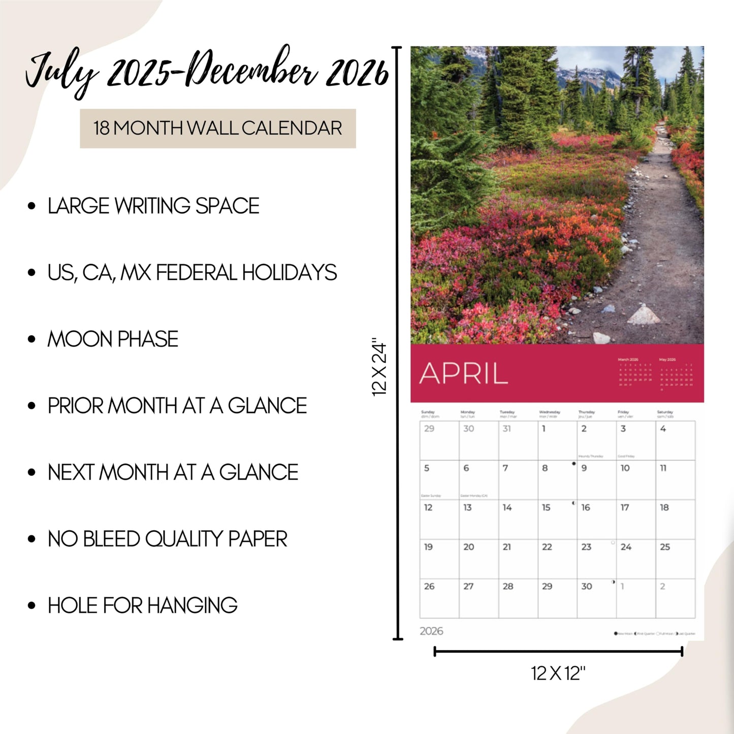 '26 Wall Calendar - Forest Trails - 18mo