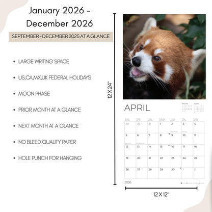 '26 Wall Calendar - Baby Animals