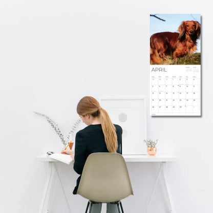 '26 Wall Calendar - Dogs