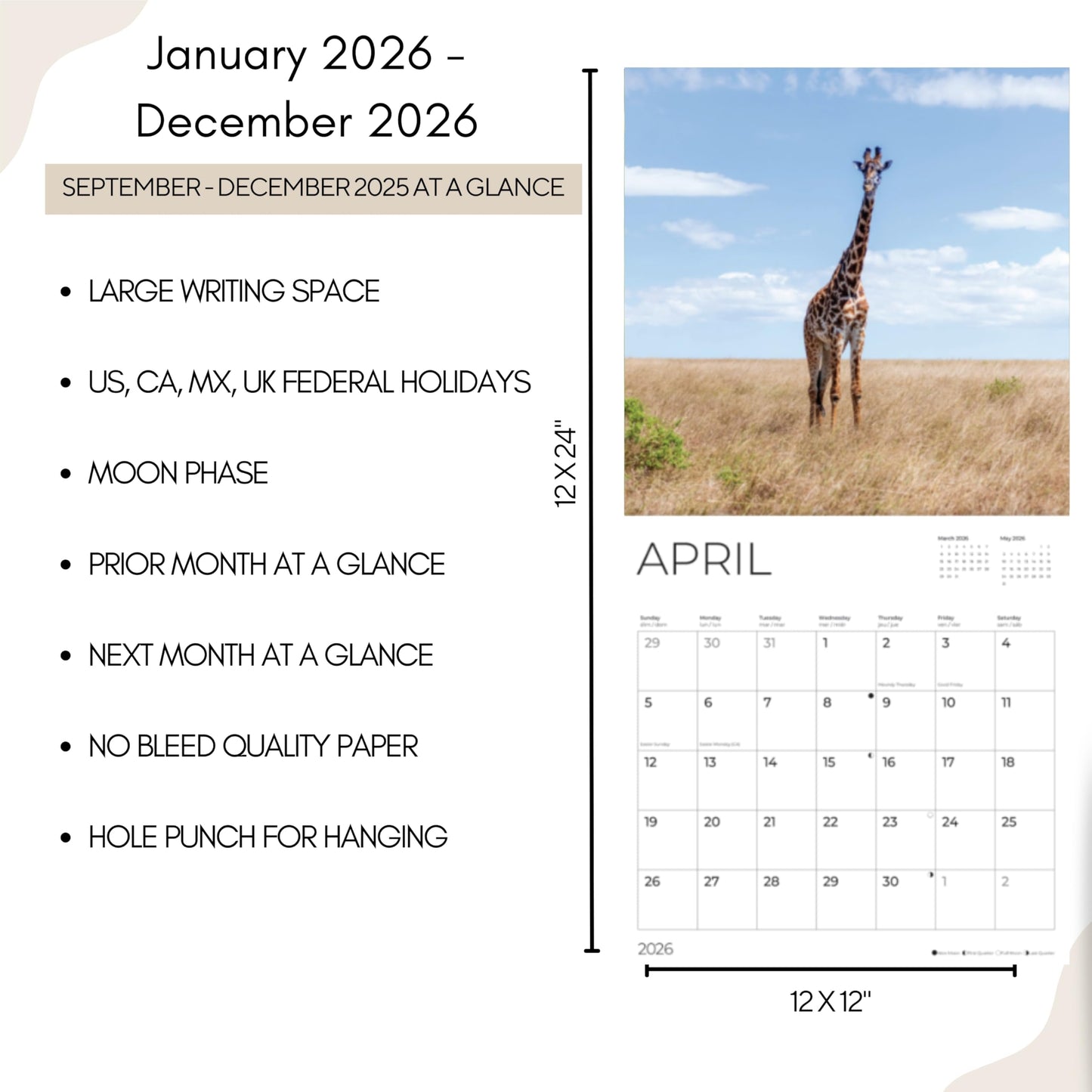 '26 Wall Calendar - Baby Animals
