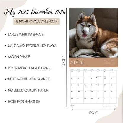 '26 Wall Calendar - Dogs - 18mo
