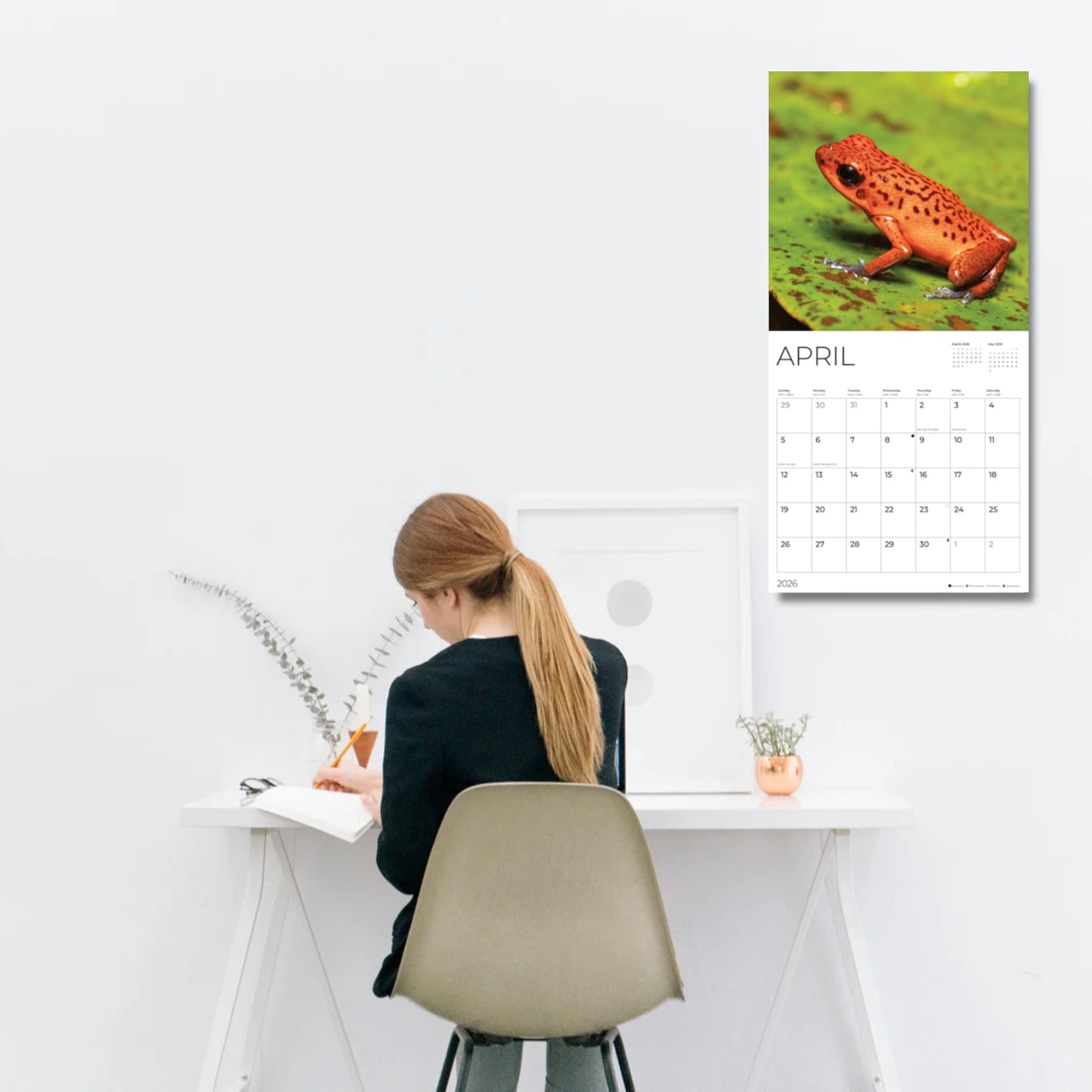 '26 Wall Calendar - Nature