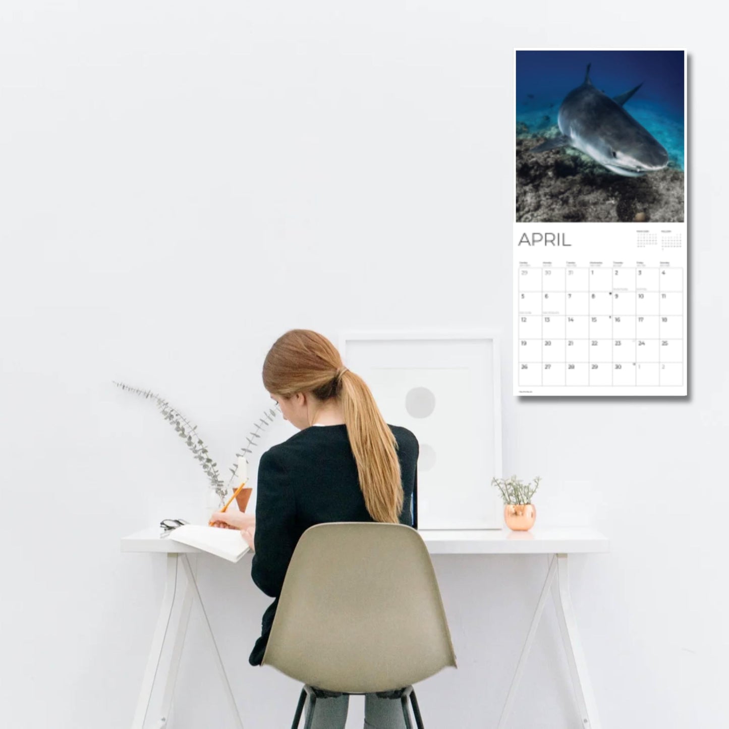 '26 Wall Calendar - Nature