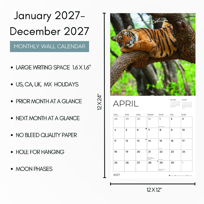 '27 Wall Calendar - Big Cats