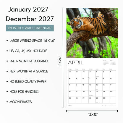 '27 Wall Calendar - Big Cats