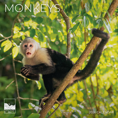 '26 Wall Calendar - Baby Animals