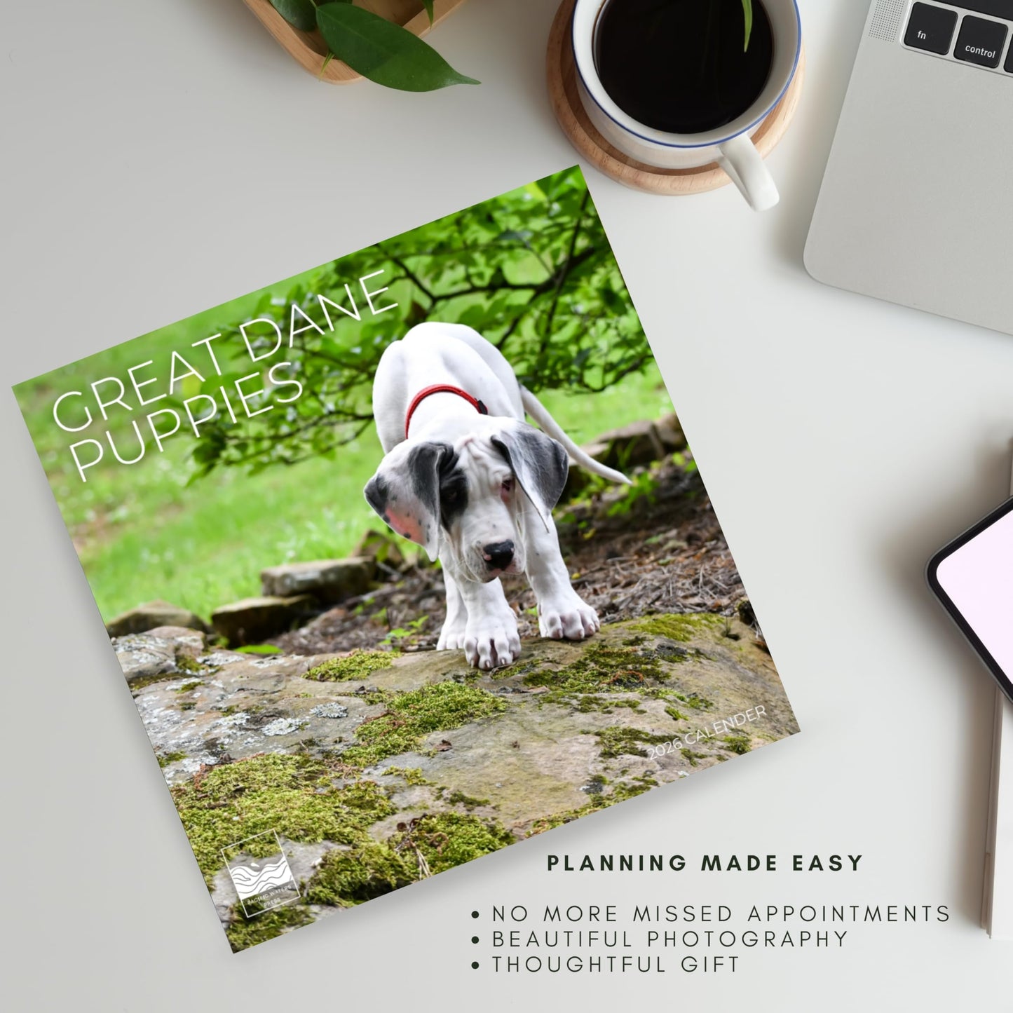 '26 Wall Calendar - Dogs