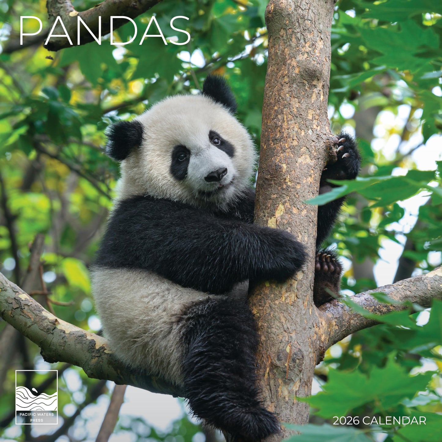 '26 Wall Calendar - Baby Animals