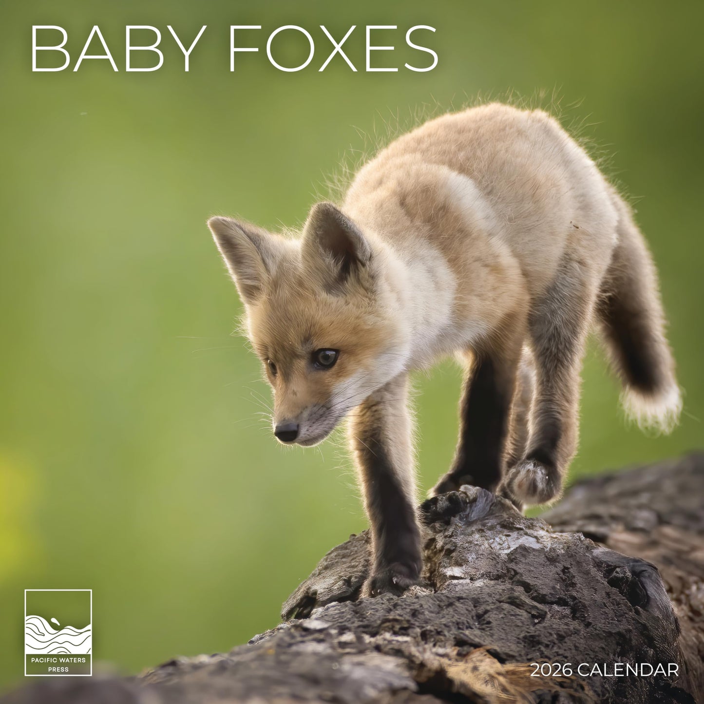 '26 Wall Calendar - Baby Animals