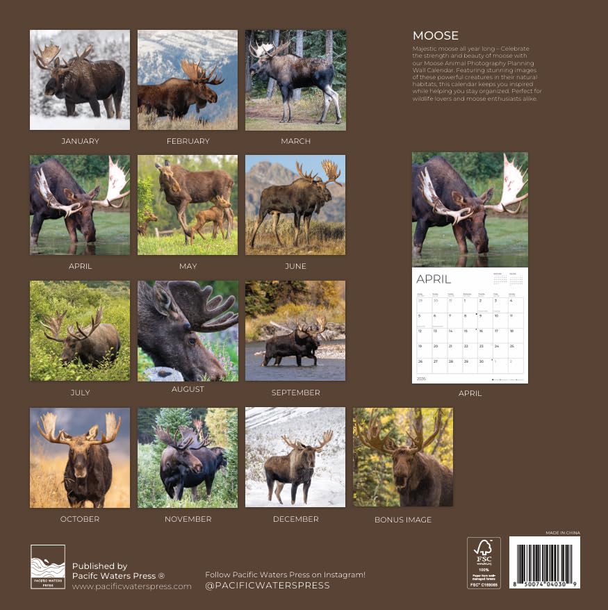 '26 Wall Calendar - Baby Animals
