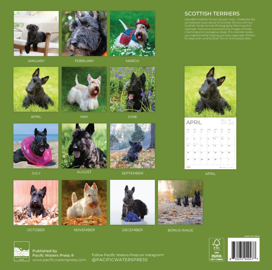 '26 Wall Calendar - Dogs