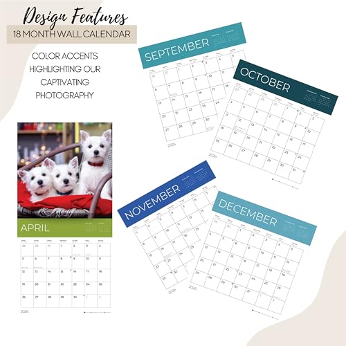 '26 Wall Calendar - Dogs - 18mo
