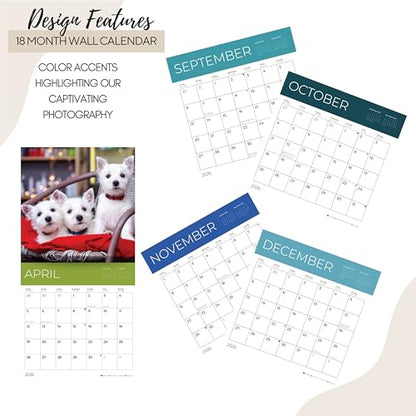 '26 Wall Calendar - Dogs - 18mo