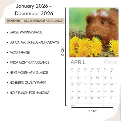 '26 Wall Calendar - Baby Animals