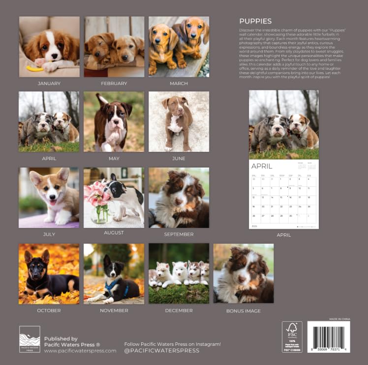 '26 Wall Calendar - Beaches around the Globe
