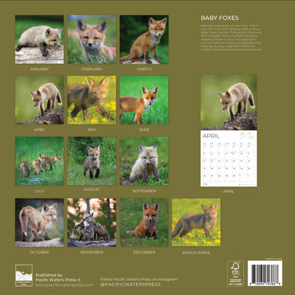 '26 Wall Calendar - Baby Animals