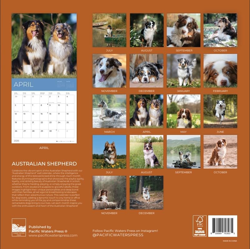 '26 Wall Calendar - Dogs - 18mo