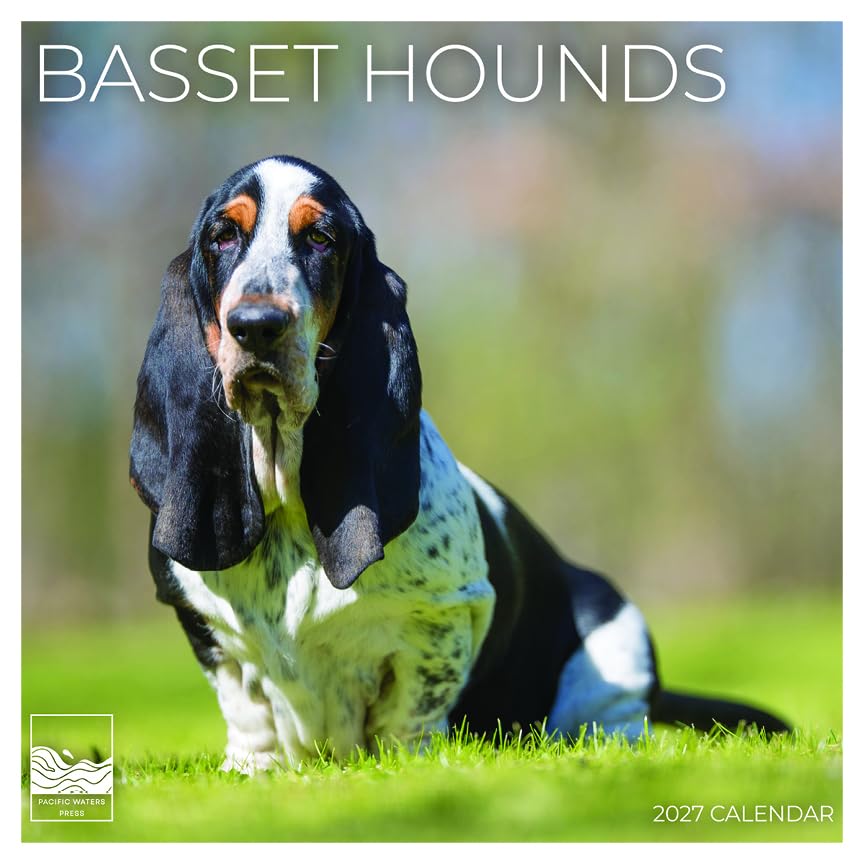 '27 Wall Calendar - Basset Hounds