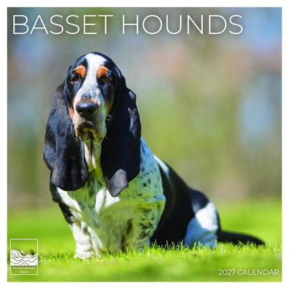 '27 Wall Calendar - Basset Hounds
