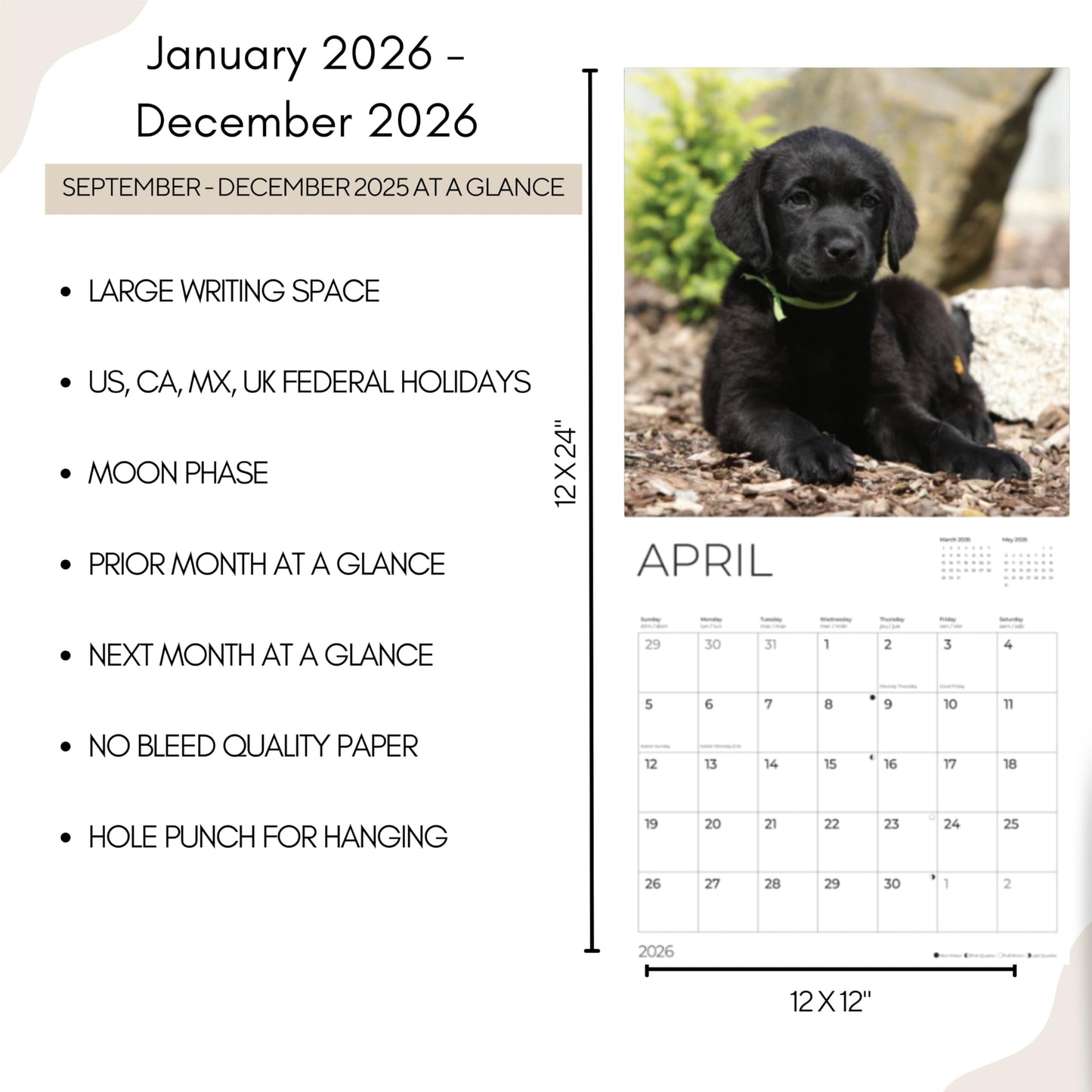 '26 Wall Calendar - Dogs