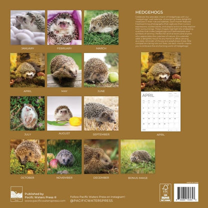 '26 Wall Calendar - Beaches around the Globe