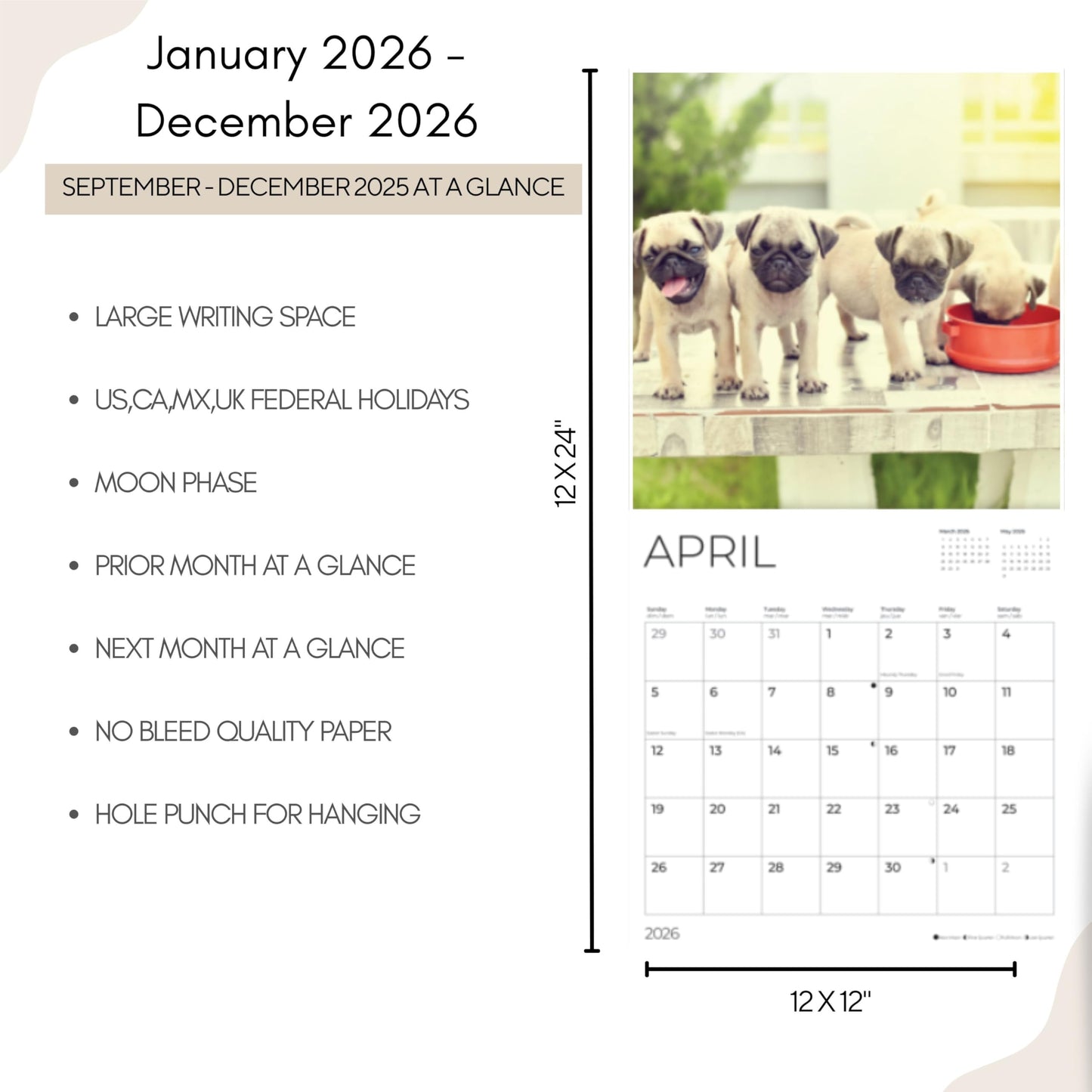 '26 Wall Calendar - Dogs