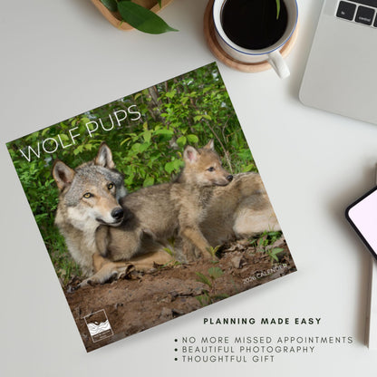 '26 Wall Calendar - Baby Animals