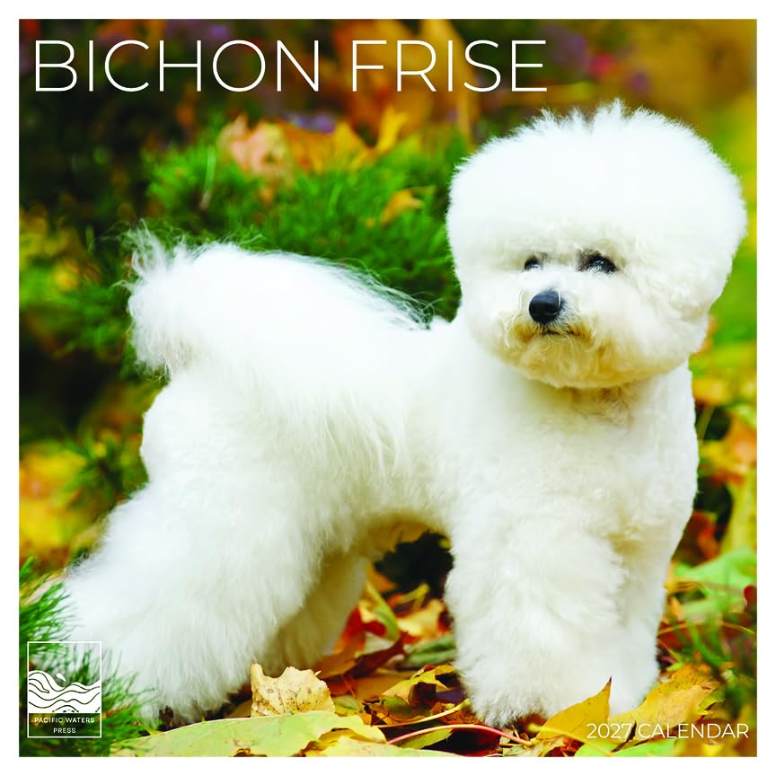 '27 Wall Calendar - Bichon Frise