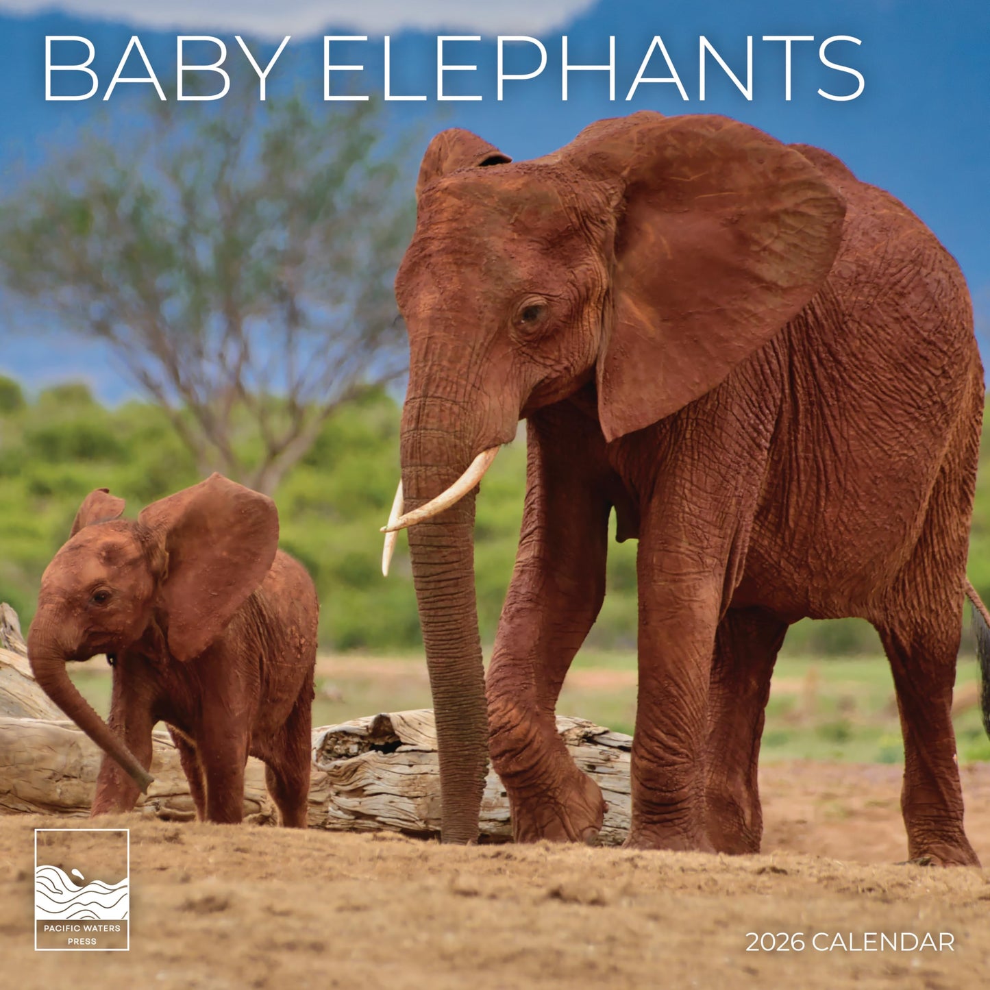 '26 Wall Calendar - Baby Animals