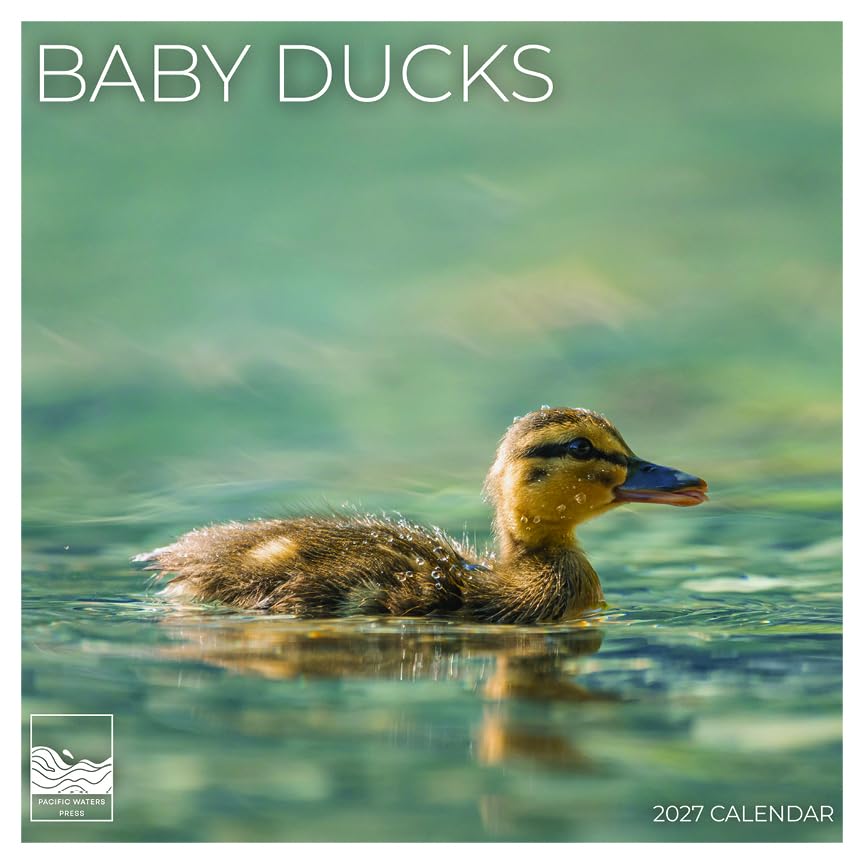 '27 Wall Calendar - Baby Ducks
