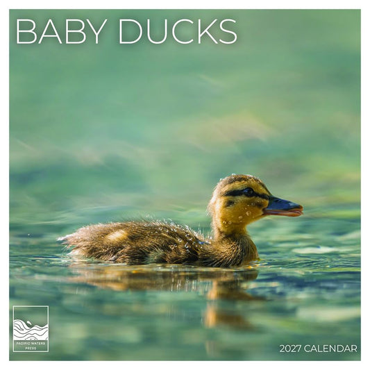 '27 Wall Calendar - Baby Ducks