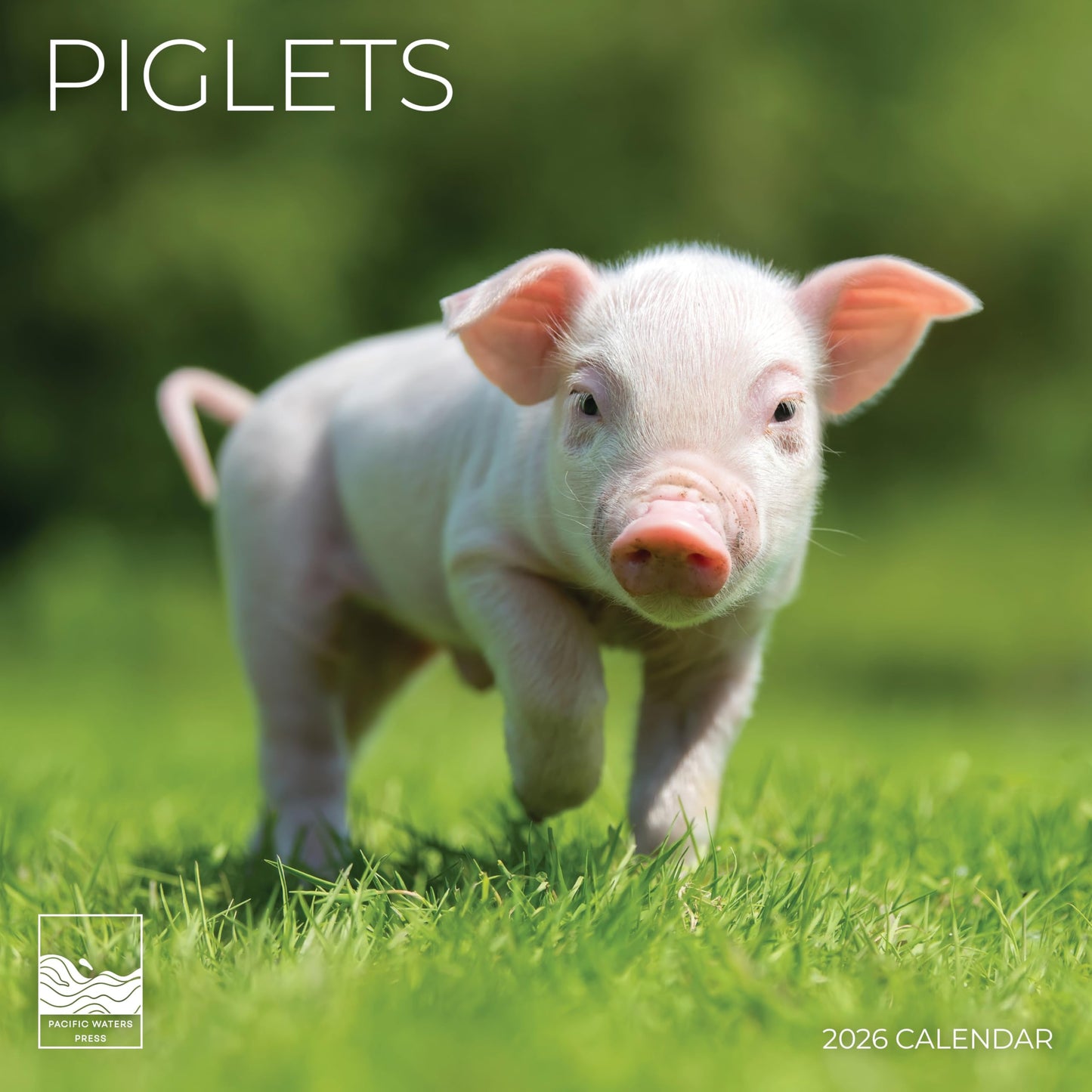 '26 Wall Calendar - Baby Animals