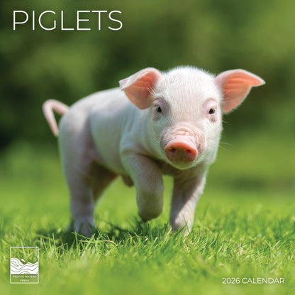'26 Wall Calendar - Baby Animals
