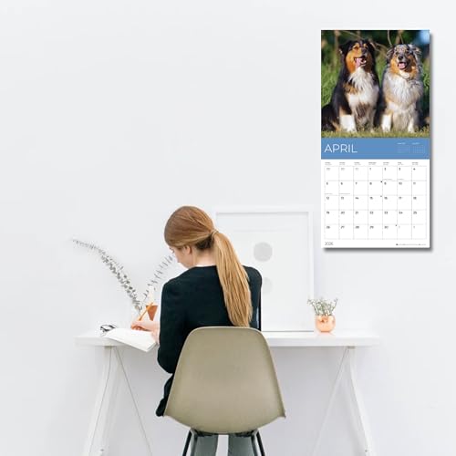 '26 Wall Calendar - Dogs - 18mo