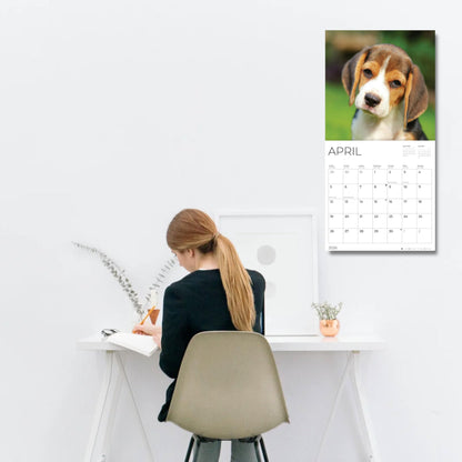 '26 Wall Calendar - Dogs