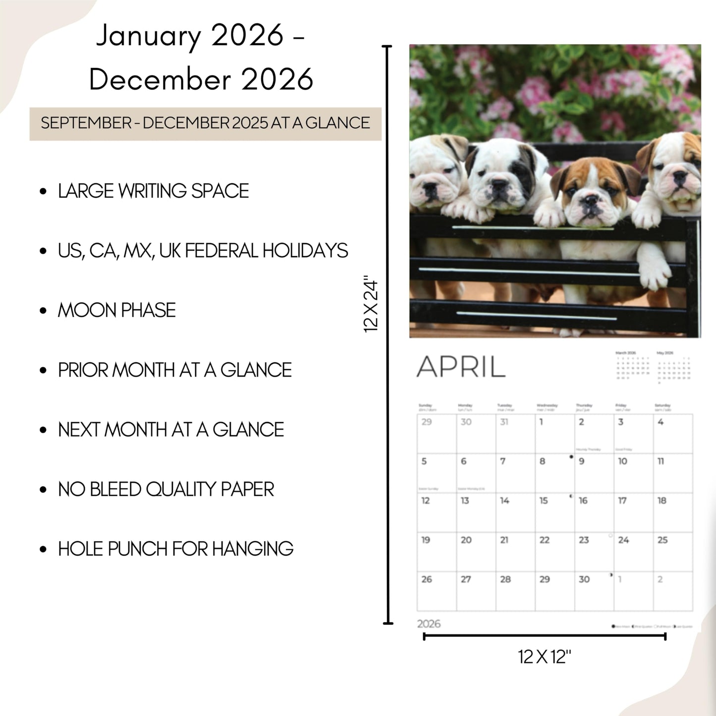 '26 Wall Calendar - Dogs
